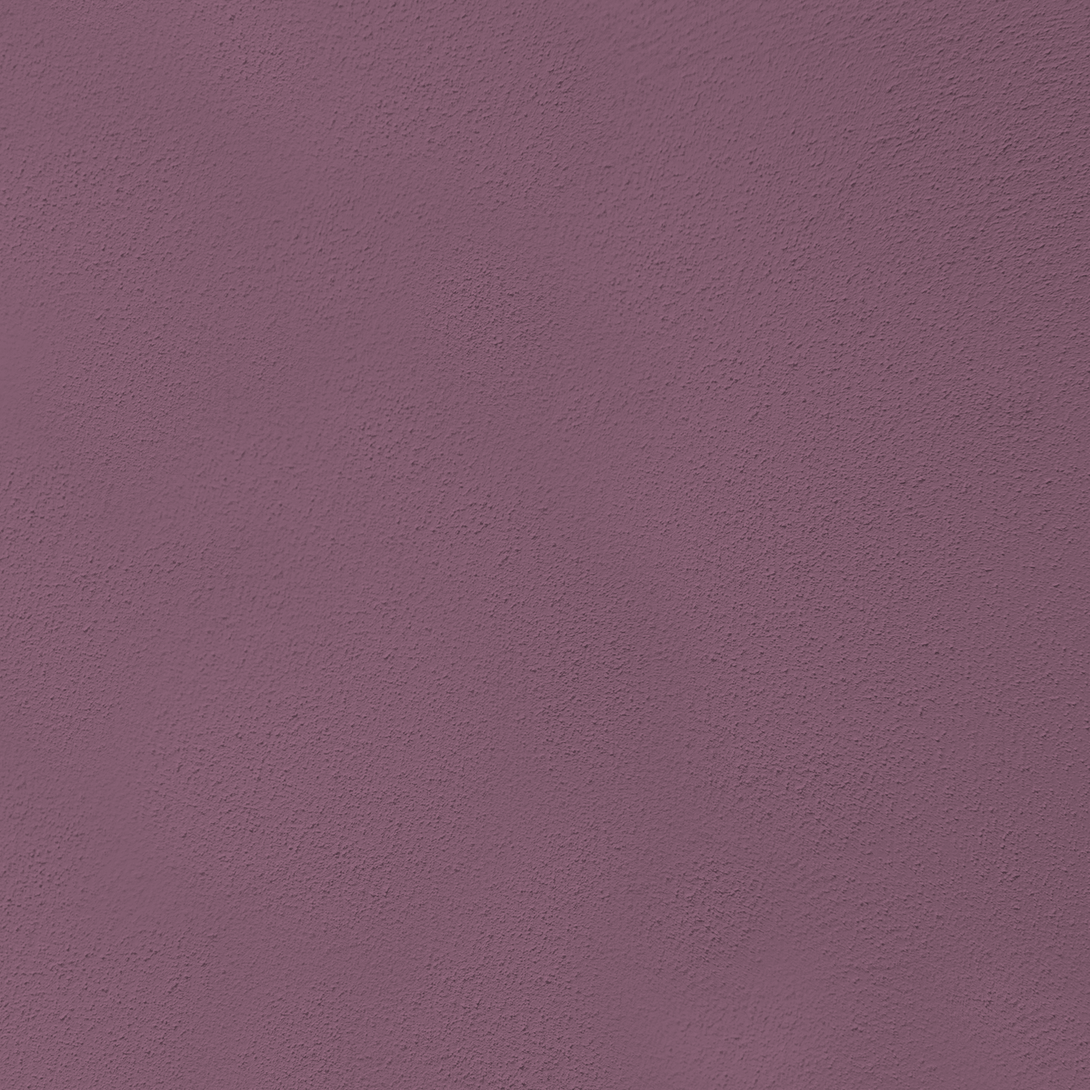 Beautyberry