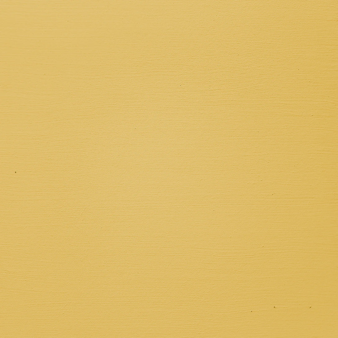 Canola